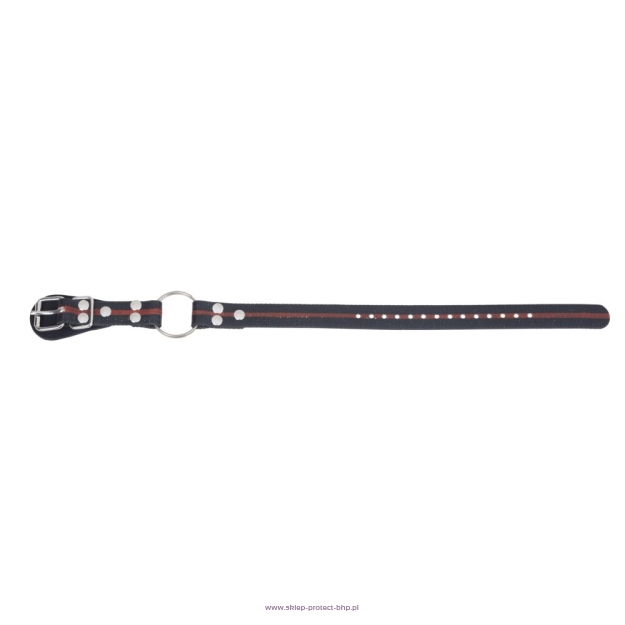 SP 060 - Zespół paska dolnego dla SP501, SP505, SP502, SP506, SP503, SP504